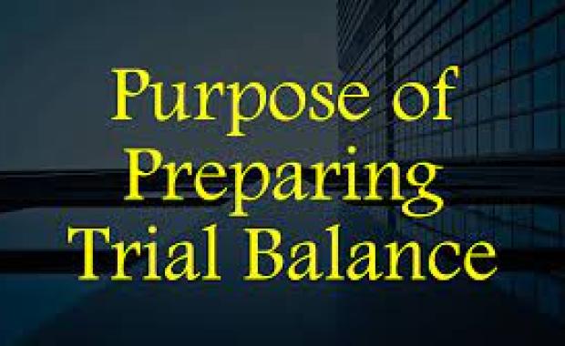 Trial Balance Prepared