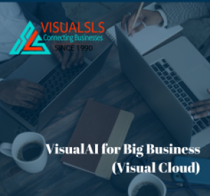 VisualAI for Big Business (Visual Cloud)