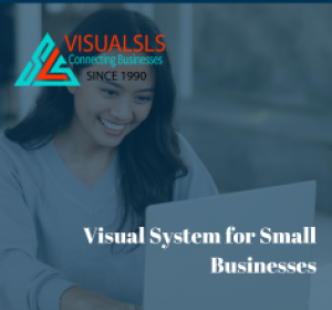 Visual System for Small Businesses