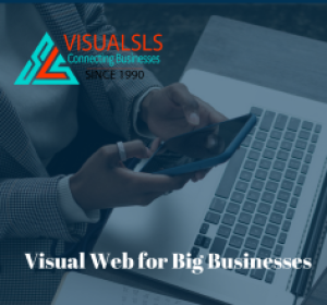 Visual Web for Big Businesses